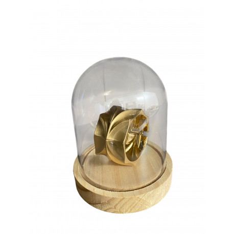 Cloche plexi pour Bijoux