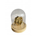 Cloche plexi pour Bijoux